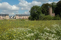 Plantsoen Thumbnail