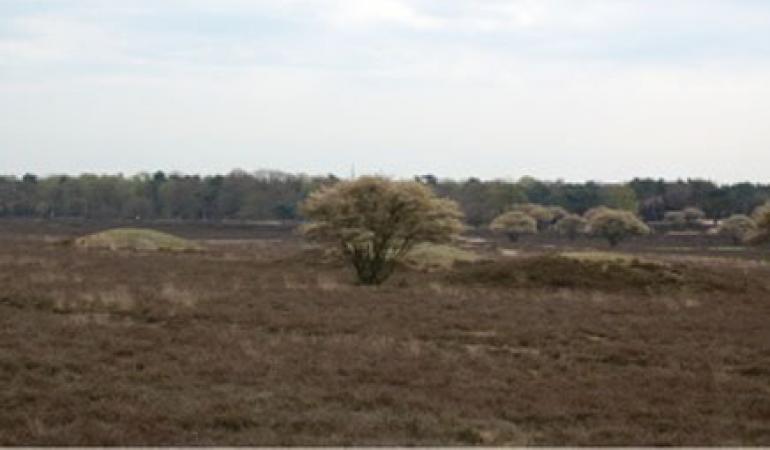Archeologie Zevenbergjes Archeologie Zevenbergjes