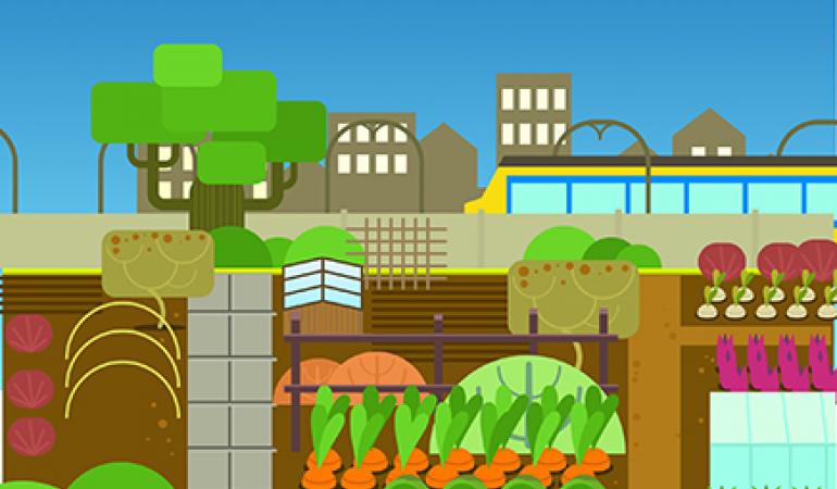 Stadslandbouw animatie Thumbnail